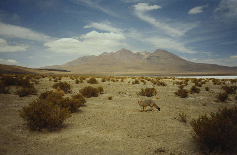 voyage_bolivie_sud_lipez