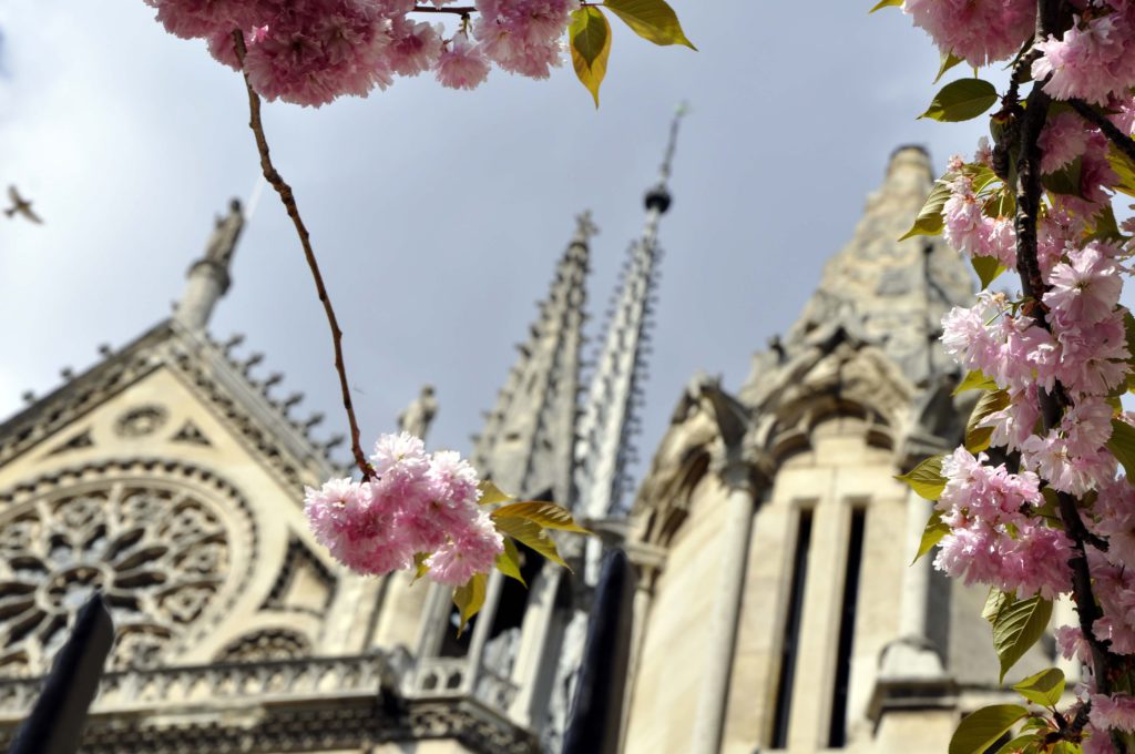 notre dame paris week end