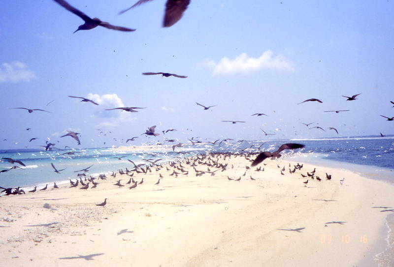 madagascar oiseaux voyage